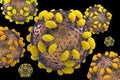 Hepatitis C HCV virus 3D illustration