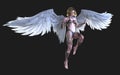 The Heaven Angel Wings, White Wing Plumage with Clipping Path