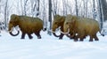A 3D illustration of a herd of Woolly Mammoths walking through a snowy forest