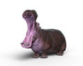 3D rendering of a Hippopotamus with jaws wide open isolated on a white background Royalty Free Stock Photo