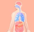 3D illustration human anatomy made of plastic colors. Pink-salmon background