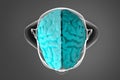 3d illustration of cerebral hemispheres