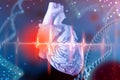 3d illustration of human heart and cardiogram on futuristic blue background. Digital technologies in medicine Royalty Free Stock Photo