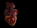 3d Illustration of Human Heart with fire vein.