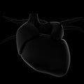 3D Illustration of human heart. Front view, black background