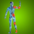 3D illustration of human or man with muscles for anatomy or health designs with articular or bones pain Royalty Free Stock Photo