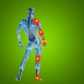 3D illustration of human or man with muscles for anatomy or health designs with articular or bones pain Royalty Free Stock Photo