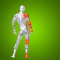 3D illustration of human or man with muscles for anatomy or health designs with articular or bones pain Royalty Free Stock Photo