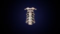 3d illustration of human skeleton cervical bone anatomy