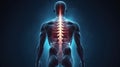 3d illustration of the human spine. backache. Back Bone. medical concept. Royalty Free Stock Photo