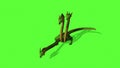 Hydra Mystical Water Snake On Green Screen Background