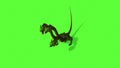 Hydra Mystical Water Snake On Green Screen Background