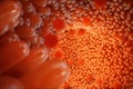 3D illustration Intestinal villi. Intestine lining. Microscopic capillary. Human intestine. Concept of a healthy or Royalty Free Stock Photo