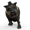 3d-illustration of an isolated battle boar animal really wild and dangerous