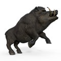 3d-illustration of an isolated battle boar animal really wild and dangerous