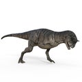 3d-illustration of an isolated dinosaur carnotaurus Royalty Free Stock Photo
