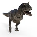 3d-illustration of an isolated dinosaur carnotaurus Royalty Free Stock Photo