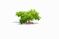 3d illustration. Isometric voxel trees. Low polygon tree. 3d rendered clay style on white background Royalty Free Stock Photo