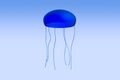 3d illustration of a jelly fish