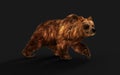 Large Brown Bear with Clipping Path.