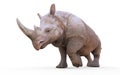 Large White Rhinoceros on White Background with Clipping Path. Royalty Free Stock Photo