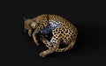 3d Illustration Leopard, Panthera Pardus, Tiger