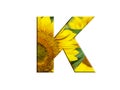 3D illustration LETTER K yellow sunflower alphabet font isolated on white design element