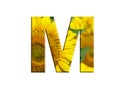 3D illustration LETTER M yellow sunflower alphabet font isolated on white design element