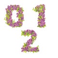 3D illustration of Lilac flowers alphabet - digits 0-2