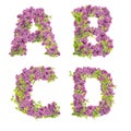 3D illustration of Lilac flowers alphabet - letters A-D
