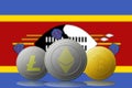 3D illustration Litecoin Ethereum Bitcoin cryptocurrency with Swaziland flag on background