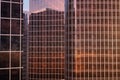 3D illustration Low angle view of skyscrapers. Skyscrapers at sunset looking up perspective. Bottom view of skyscrapers Royalty Free Stock Photo