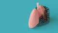 3d illustration of low poly human lungs repair concept