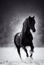 3d illustration of a majestic horse. Detailed close up portrait. Dirt, snow galloping, race. Generative AI illustration