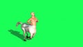 Male Centaur Half Horse Half Man on green screen