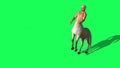 Male Centaur Half Horse Half Man on green screen