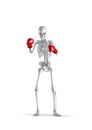 Boxing skeleton