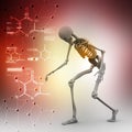 Man Skelton Royalty Free Stock Photo