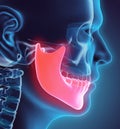 3D illustration of Mandible, medical concept.