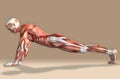 3d illustration of a medical male figure exercising