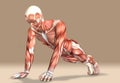 3d illustration of a medical male figure exercising