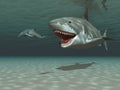 Megalodon chasing a kentriodon