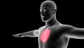 3d illustration of a men xray hologram showing pain area on the chest area