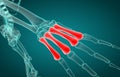 3D illustration of of metacarpal x-ray