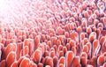 3d illustration of microscopic closeup of intestine villus Royalty Free Stock Photo