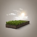 3d illustration of mini farm isolated. Plants isolated on soil island. micro world concept.