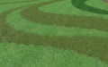 Contrasting composition of different lawn surfaces in smooth lines.
