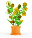 3D illustration of money tree. Cartoon dollar plant with gold coins, isolated on white. Business investment profit