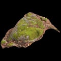 3d illustration of moss covered rocks isolated on black background Royalty Free Stock Photo