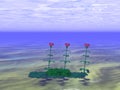 Mysterious three underwater roses